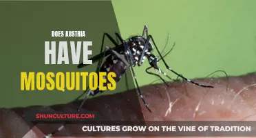 Mosquitoes in Austria: What's the Real Buzz?