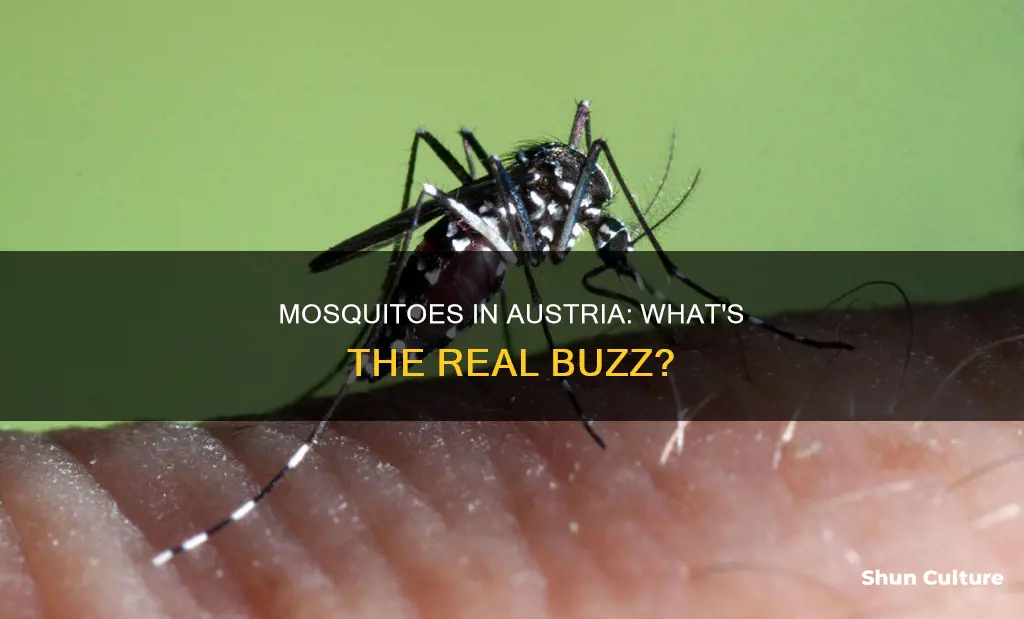 does austria have mosquitoes