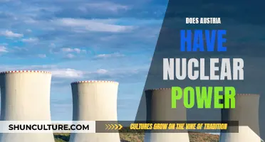 Austria's Nuclear Power Stance: A Clear Choice