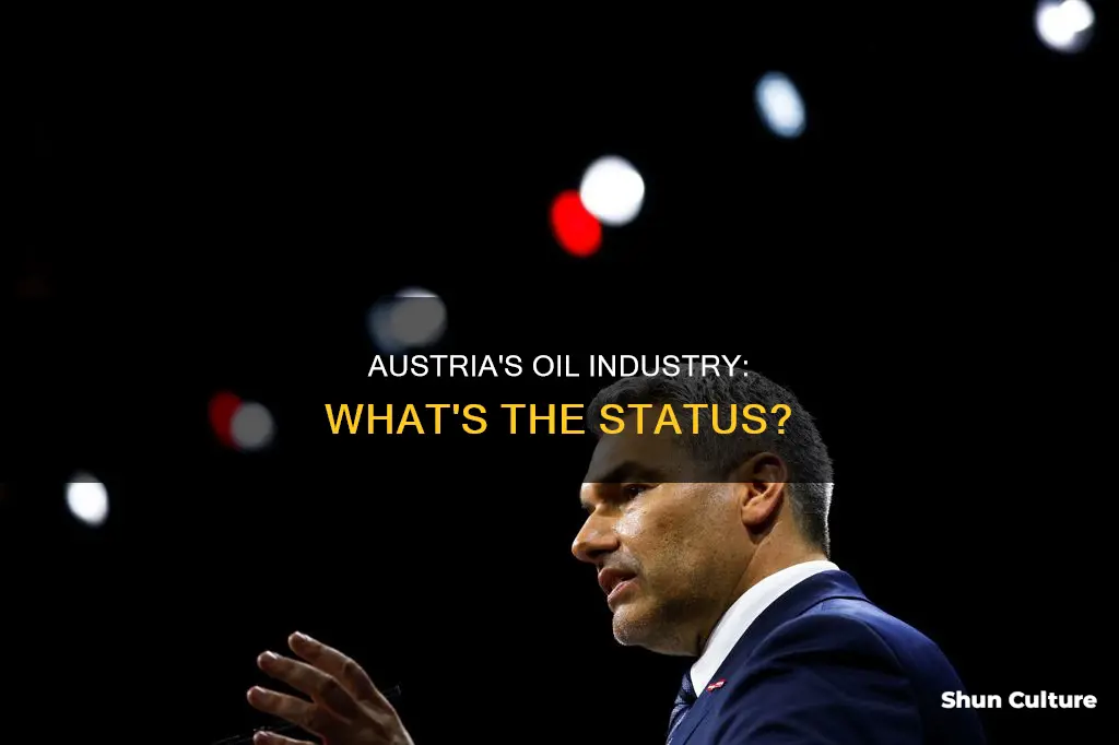 does austria have oil