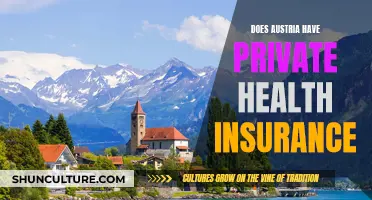 Austria's Private Health Insurance: What You Need to Know