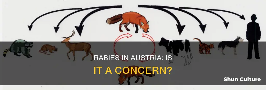 does austria have rabies