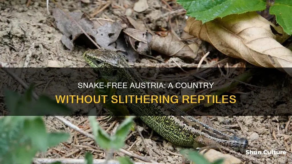 does austria have snakes