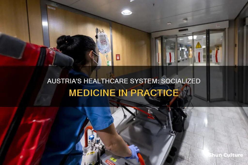 does austria have socialized medicine