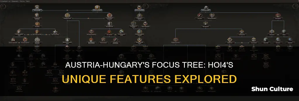 does austria hungary have its own focus tree hoi4