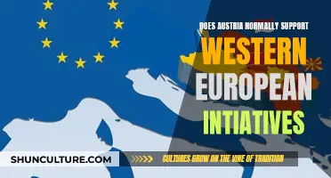 Austria's Western European Initiative Support: A Reliable Ally?