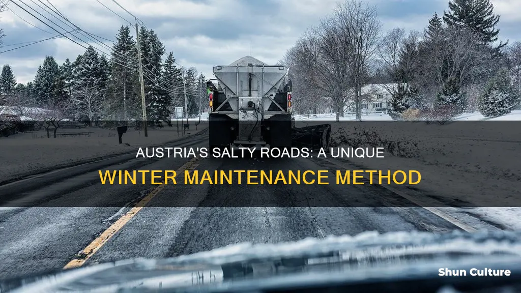 does austria salt roads