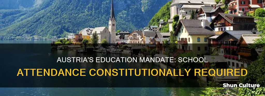 does austria sonstitutionally mandate going to school