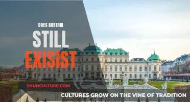 Austria's Existence: Fact or Fiction?