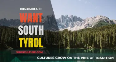 Austria's Interest in South Tyrol: A Continuing Affair?