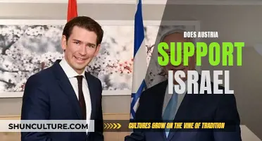 Austria-Israel Relations: Exploring Diplomatic Support