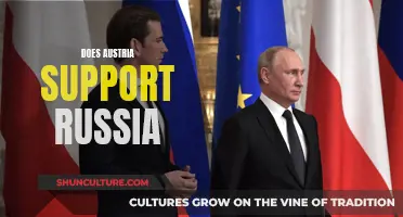 Austria's Stance on Russia: Friend or Foe?