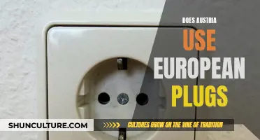 Austria's Plug Predicament: European Standard or Unique?