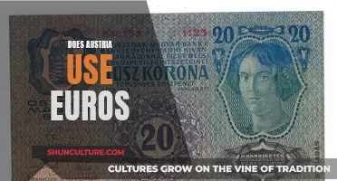 Austria's Currency: Euro Usage and History