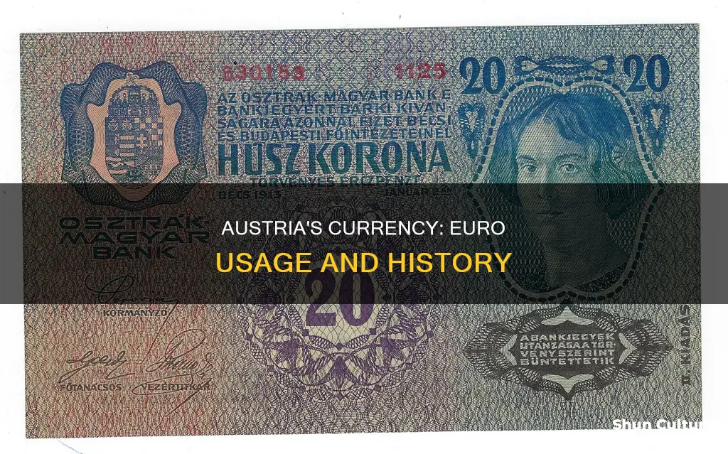 does austria use euros