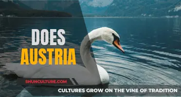 Austria: A Country of Cultural Diversity and Natural Beauty