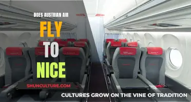 Austrian Air's Nice Flights: What You Need to Know