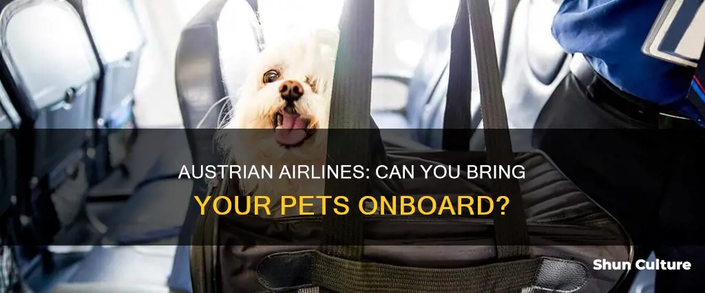 does austrian airlines allow pets