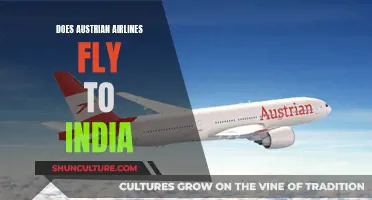 Austrian Airlines' India Flights: Where and When?