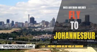 Austrian Airlines' Johannesburg Flights: All You Need to Know