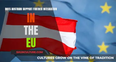 Austria's EU Integration: A Step Forward or Back?