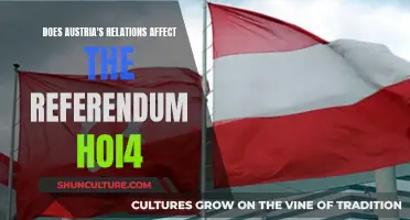 Austria's Foreign Relations: Impact on the Referendum