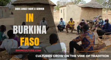 Exploring Avast's Global Reach: Burkina Faso Server Inquiry