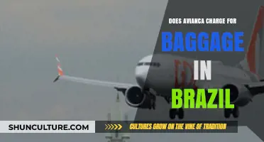 Avianca Brazil Baggage Fees: What Travelers Need to Know