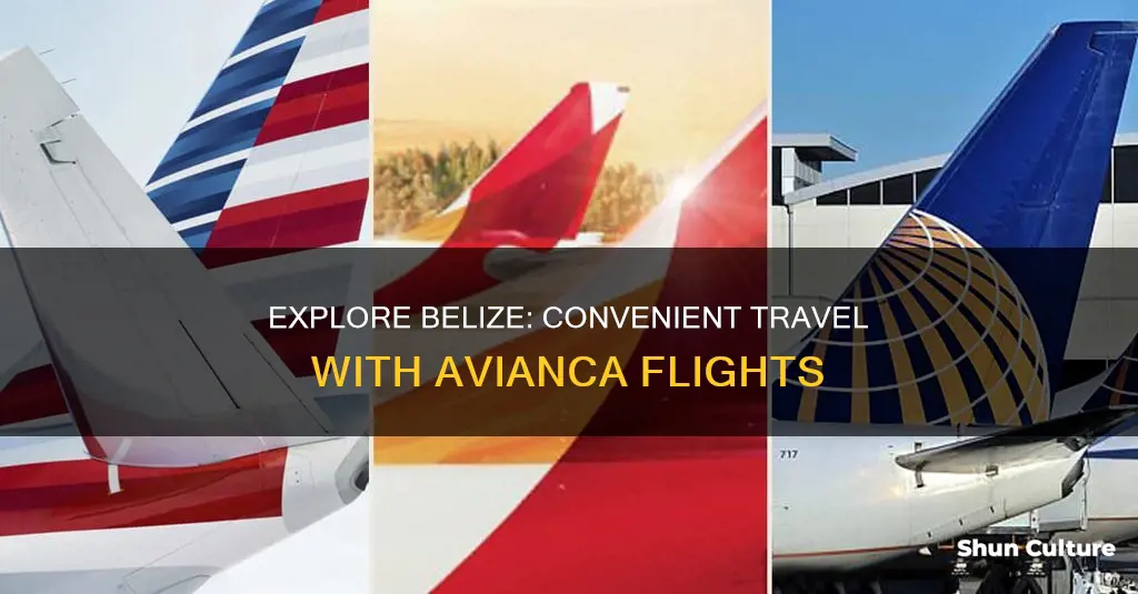 does avianca fly to belize