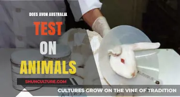 Avon Australia: Animal Testing Policy Explained