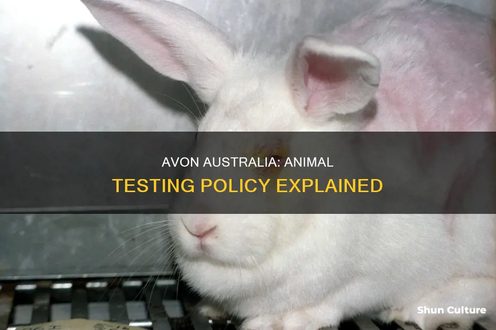 does avon australia test on animals