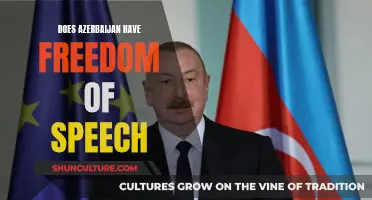 Azerbaijan's Press Freedom: A Reality Check