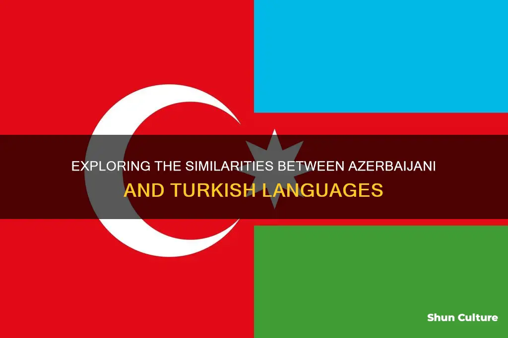 does azerbaijan language same as turkish