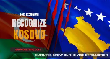 Azerbaijan's Recognition of Kosovo: A Complex Diplomatic Issue