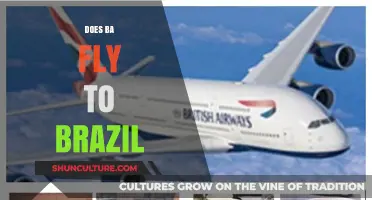 Does British Airways Offer Flights to Brazil? A Comprehensive Guide