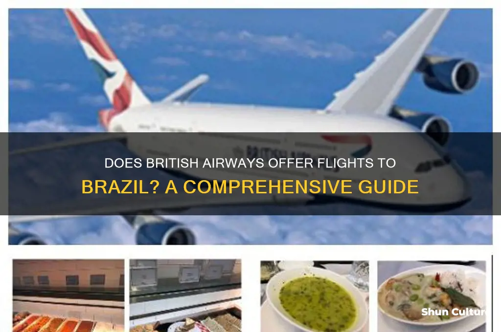 does ba fly to brazil