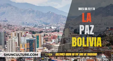 BA's Flights to La Paz, Bolivia: All You Need to Know