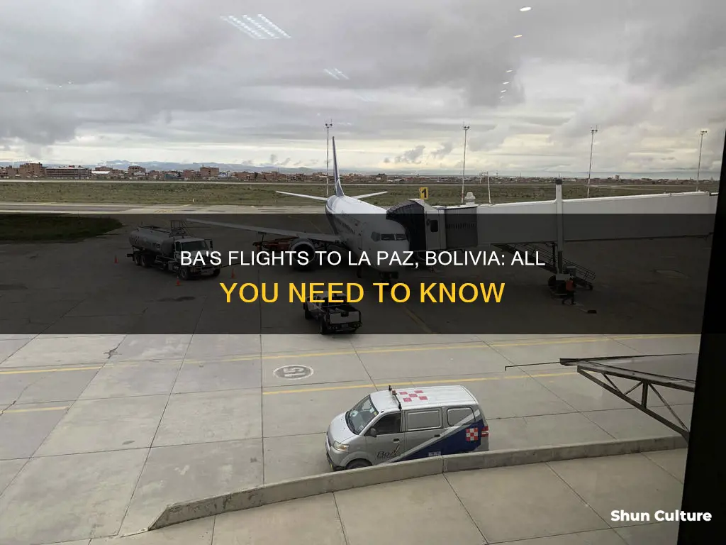 does ba fly to la paz bolivia