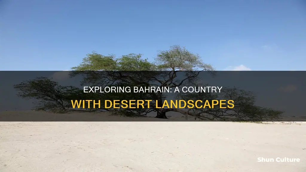 does bahrain have a desert