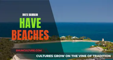 Exploring Bahrain: Beach Paradise or Desert Mirage?