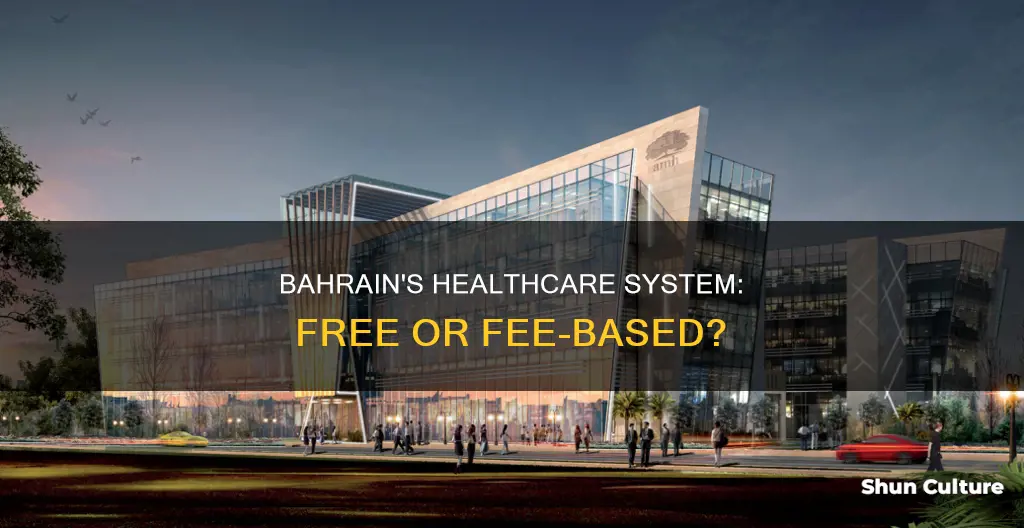 does bahrain have free healthcare