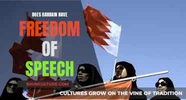 Bahrain's Speech Rights: Freedom or Suppression?