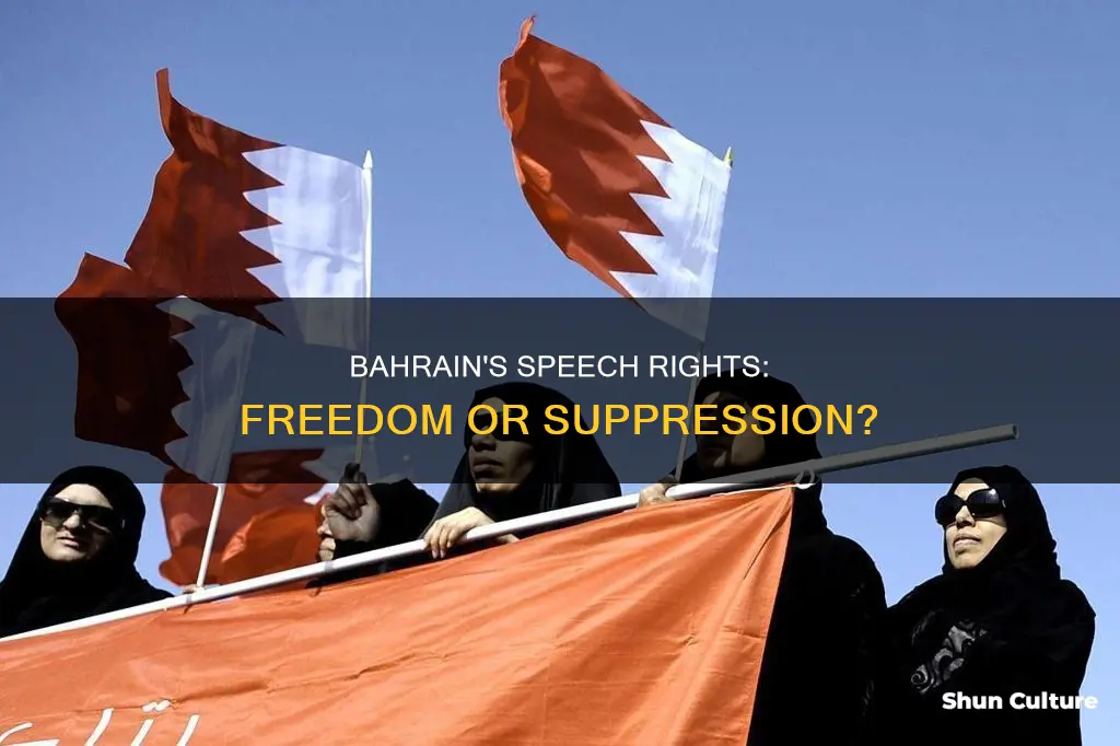 does bahrain have freedom of speech