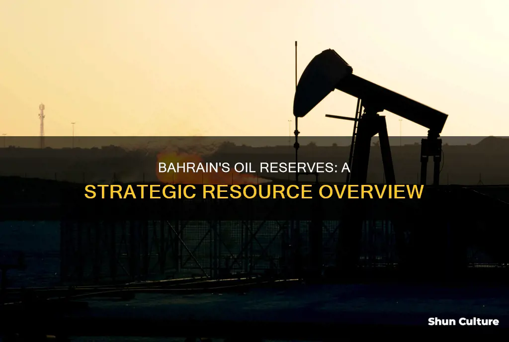 does bahrain have oil