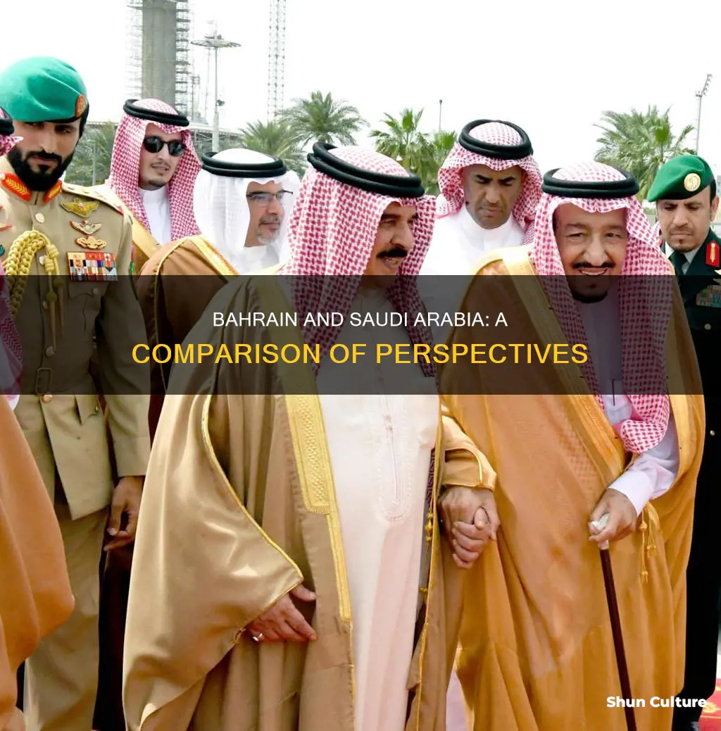 does bahrain have the same views as saudi arabia