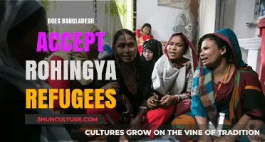 Bangladesh's Response: Accepting Rohingya Refugees Amidst Crisis and Challenges