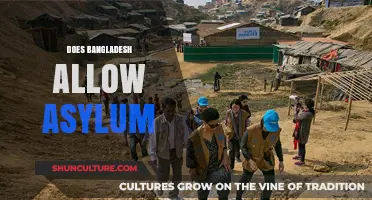 Bangladesh's Asylum Policies: Understanding Refugee Rights and Protections