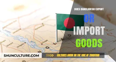 Bangladesh's Trade Dynamics: Exporting or Importing Goods?