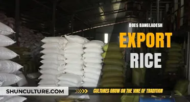 Bangladesh's Rice Exports: A Global Staple or Domestic Priority?