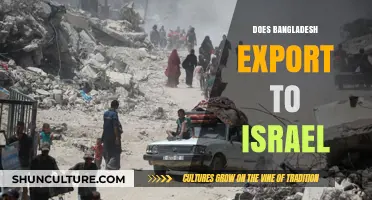 Bangladesh-Israel Trade Relations: Exploring Export Dynamics and Economic Ties